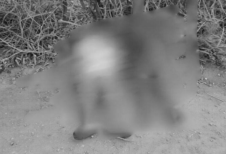 Hallan dos cuerpos con signos de violencia en Tehuantepec