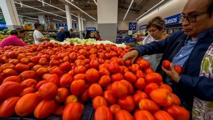 sheinbaum-reconoce-que-no-se-ha-logrado-detener-alza-en-precios-de-jitomate-papa-y-chile