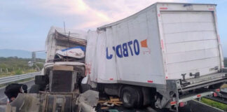 Muere una persona y tres resultan lesionadas tras choque de tractocamiones en la supercarretera Cuacnopalan–Oaxaca