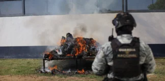 FGR incinera más de 850 kilos de drogas en Oaxaca; mariguana en su mayoría