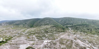 Vida y esperanza con la Primera Jornada de Mega Tequio de Reforestación en la zona chocho-mixteca