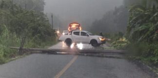 Caída de poste de energía eléctrica interrumpe la circulación vehicular en la carretera federal 175 a la altura de Santa María Jacatepec