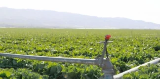 Taylor Farms cierra temporalmente planta en México por casos de “diarrea explosiva” en EU