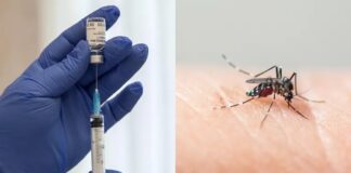 ¿La vacuna contra el dengue llegará pronto a México? Esto responde un especialista
