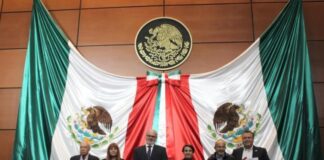 Morena minimiza alcance de iniciativa contra doble nacionalidad