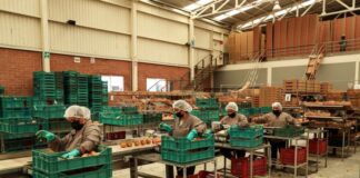 Exportaciones mexicanas registran aumento de 9.7% en julio de 2026