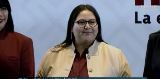 Citlalli Hernández: Morena selecciona a sus coordinadores con encuestas y filtros de integridad