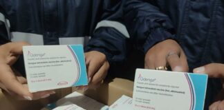 Vacuna contra el dengue entra al Compendio Nacional en México; ¿qué significa esto?