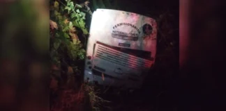 Autobús cae a barranco en Veracruz; seis pasajeros resultan heridos
