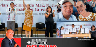 Fiesta en Oaxaca, productiva visita de la presidenta Sheinbaum *“El maíz es la raíz” – Pedro Botero