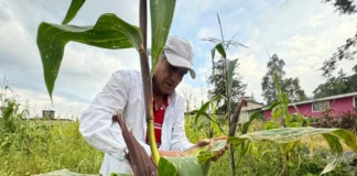 El Niño amenaza con restar hasta 0.59 puntos al PIB de México en 2026: S&P Global