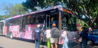 Oaxaca, líder nacional en crecimiento de transporte público con Binnibus