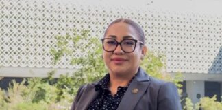 Muere Anay Beltrán Reyes, diputada federal de Morena, a los 44 años