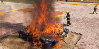 Atestigua Salomón Jara incineración de enervantes en Huatulco