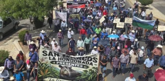 Comunidades de Cintalapa marchan contra amenazas de desalojo en la zona de Chimalapas