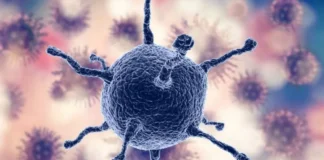 Mieloma múltiple: qué es, cuáles son sus síntomas y cómo se detecta este cáncer de la sangre