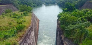 Informa Protección Civil sobre apertura de compuertas de la presa Cerro de Oro