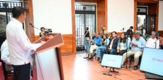 Llama Jara a disfrutar Fiestas Patrias en familia y en paz
