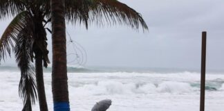 Huracán ‘Simón’ se mantiene frente a las costas de Jalisco; tormenta ‘Trudy’ avanza en el Pacífico