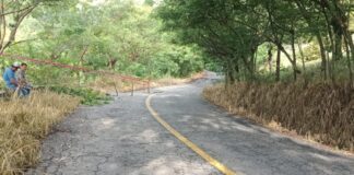 Reblandecimiento de tierra afecta carretera Jalapa de Díaz-Huautla