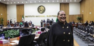 Cámara de Diputados recibe renuncia de Guadalupe Taddei