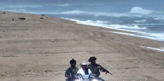 Marina Contribuye a la Protección y Conservación de la Tortuga Marina Golfina en Playa Escobilla, Oaxaca
